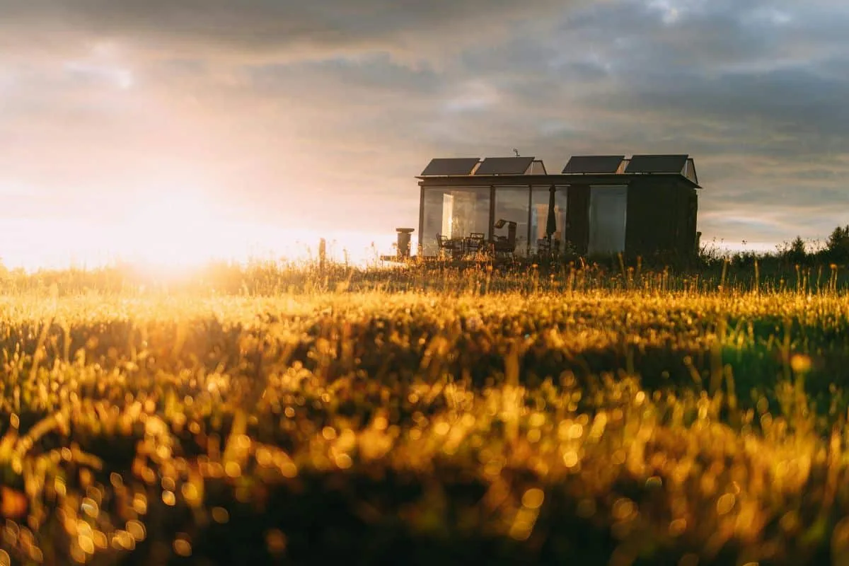 Exterior view of a modern home at sunset with warm lighting and tall grass in the foreground