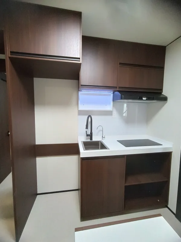 Nestron Legend Two bathroom rendering with dark wood cabinetry, a white vanity, mirror, and recessed lighting